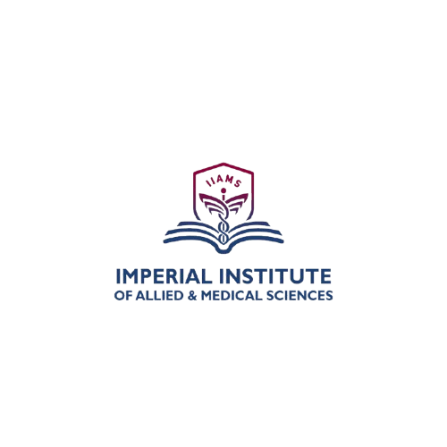 best digital marketer in malappuram